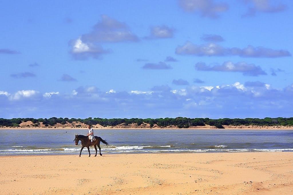 Apartamentos Sanlucar & Donana ซันลูการ์เดบาร์ราเมดา ภายนอก รูปภาพ